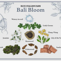 Bali Bloom Hand Cream