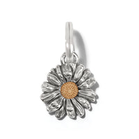 Brighton | Daisy Dee Daisy Charm