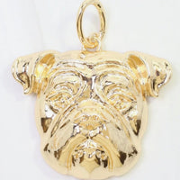 Caroline Hill | Chelsey Charm-Dog