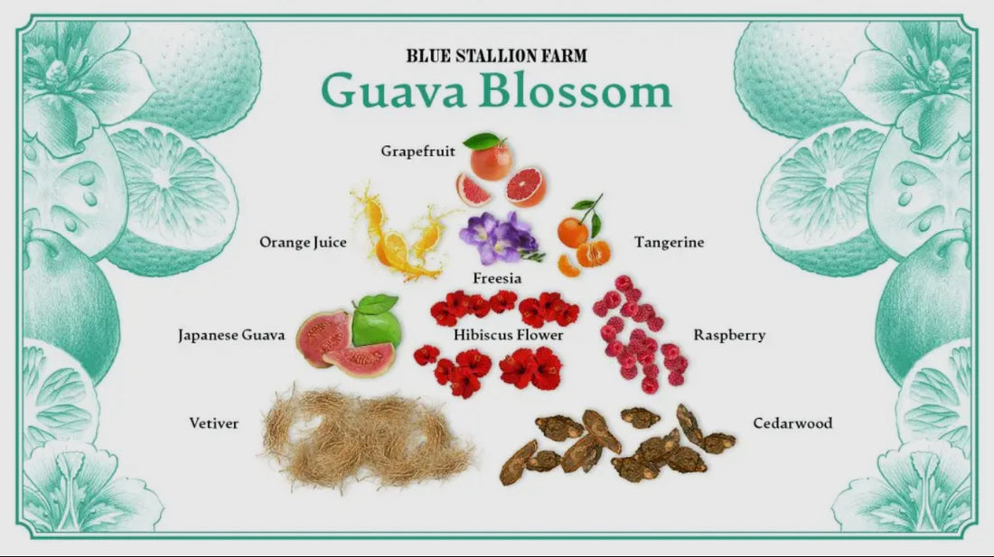 Guava Blossom Bar Soap