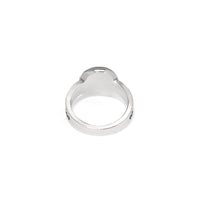 Brighton | Meridian Aurora Ring-Amethyst