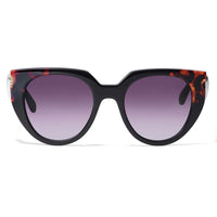 Brighton | Spectrum Love Sunglasses