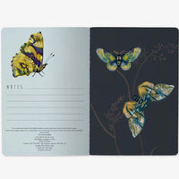 Notebook-Butterflies on White