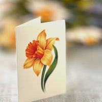 English Daffodil Pop Up Card