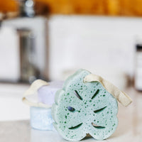 Super Sudsy Sponge