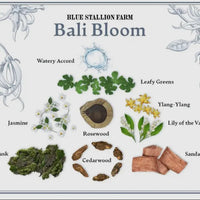 Bali Bloom Whipped Body Cream