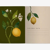 Notebook-Lemons