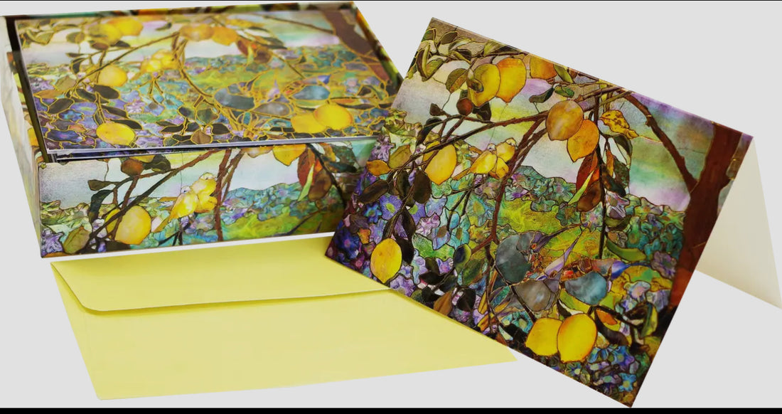 Blank Note Cards