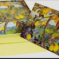 Blank Note Cards