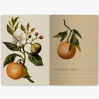 Notebook-Oranges and Blossoms