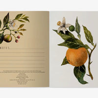 Notebook-Oranges and Blossoms