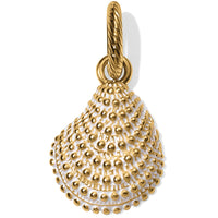 Brighton | Sassy Shell Charm