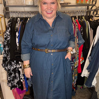 Odeon Denim Dress-Orion Blue