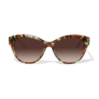 Brighton | Interlok Braid Blue Havana Sunglasses