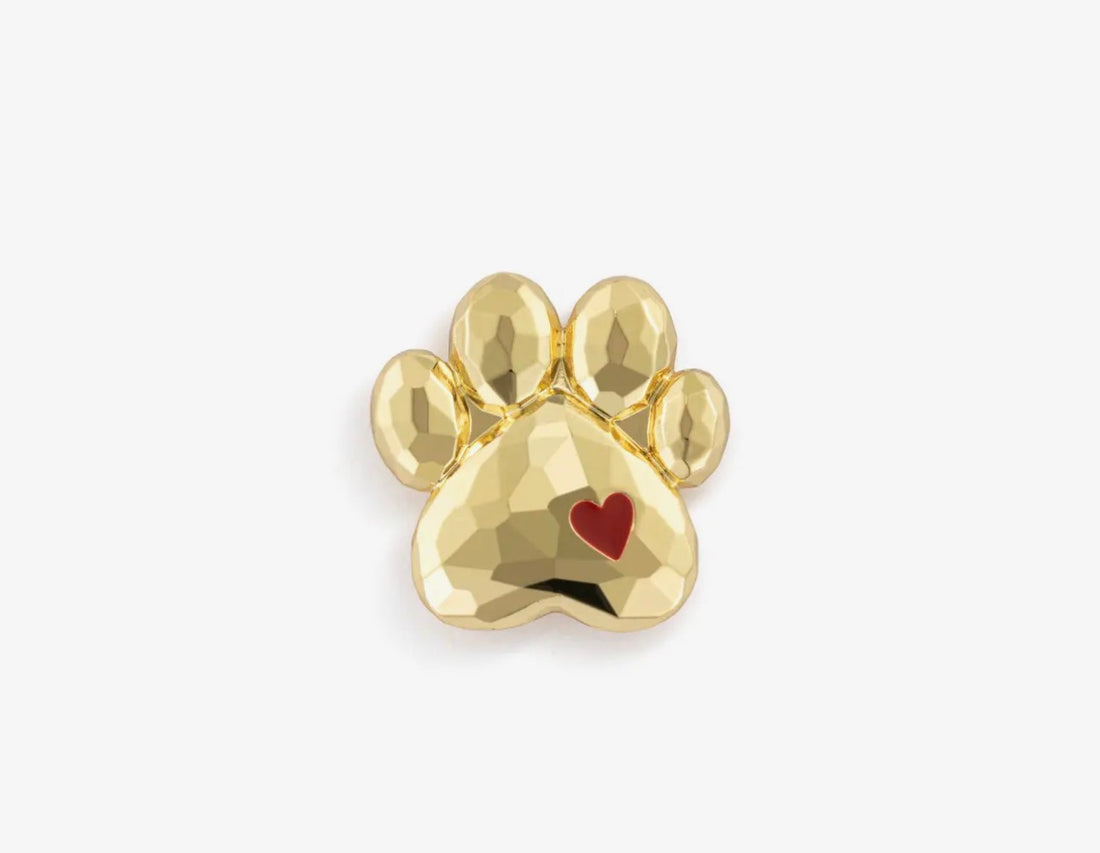 Paw Print Magnetic Frame Charm