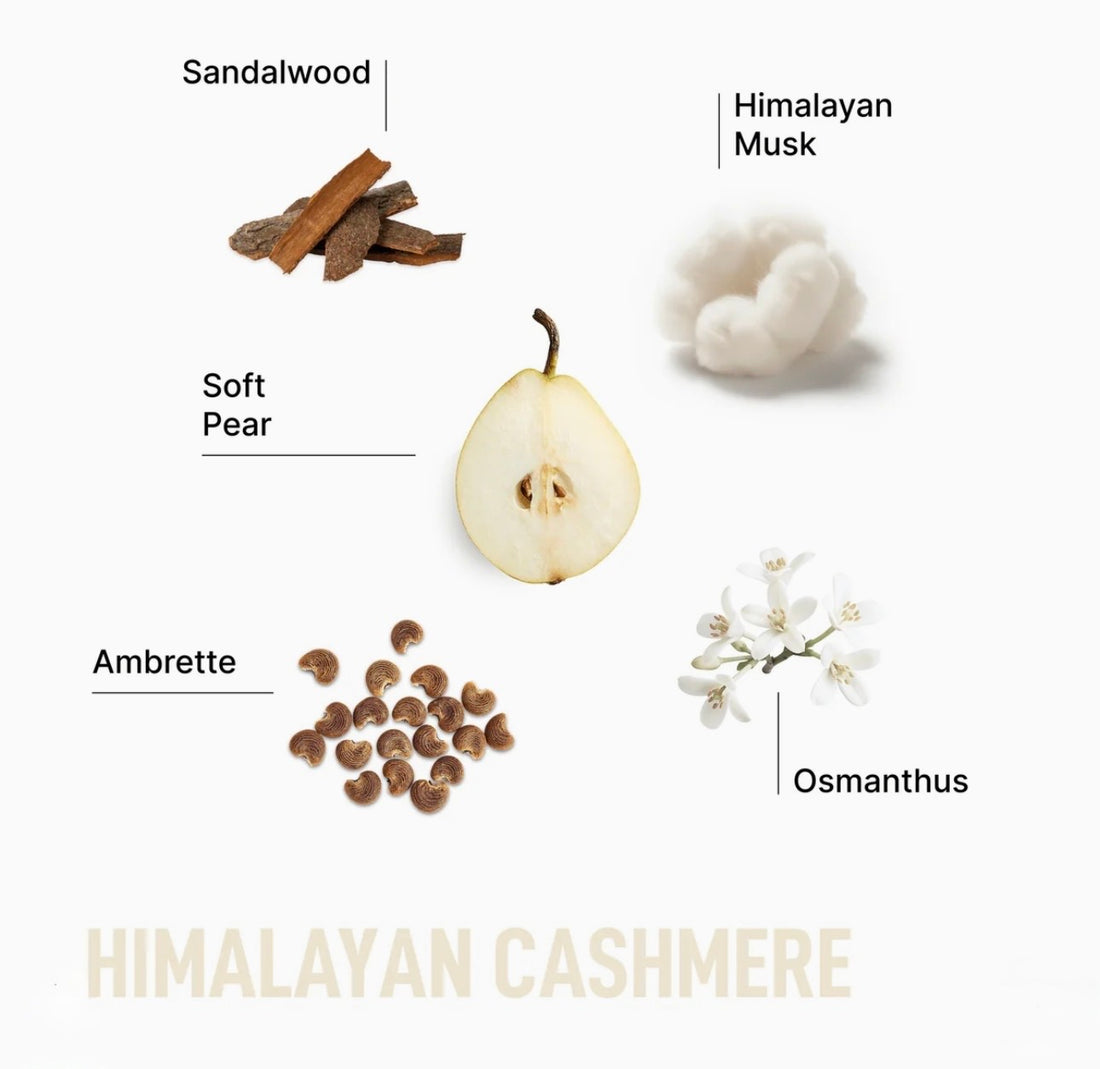 Ingredients for &