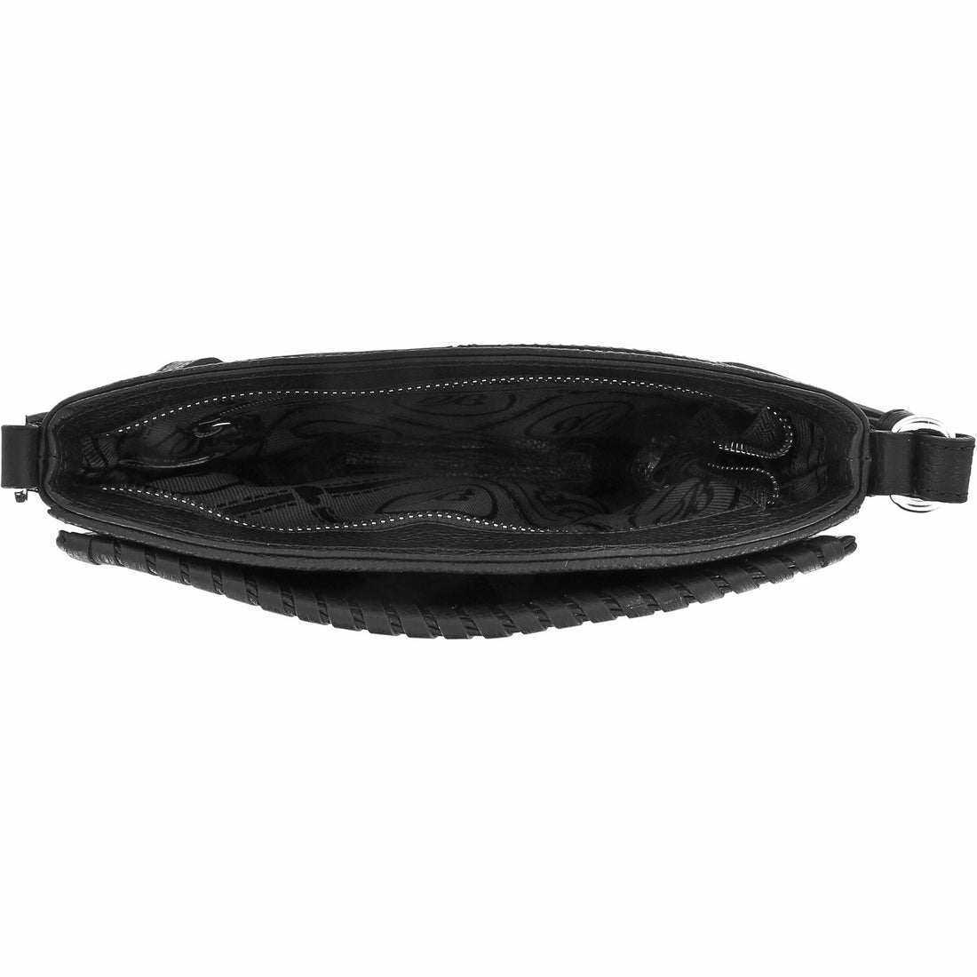 Brighton | Ferrara City Organizer