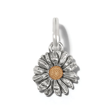 Brighton | Daisy Dee Daisy Charm