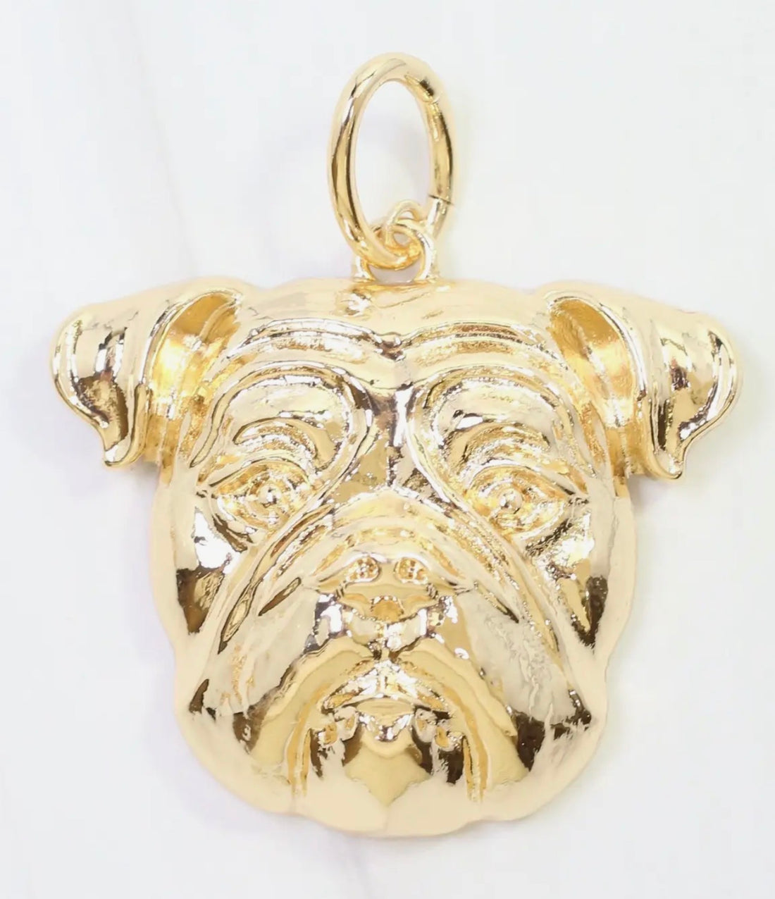 Caroline Hill | Chelsey Charm-Dog