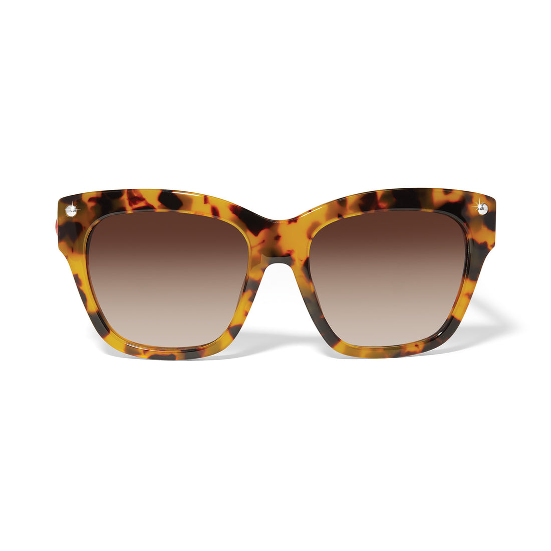 Brighton | Fashionista Love Sunglasses