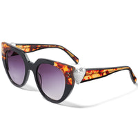 Brighton | Spectrum Love Sunglasses