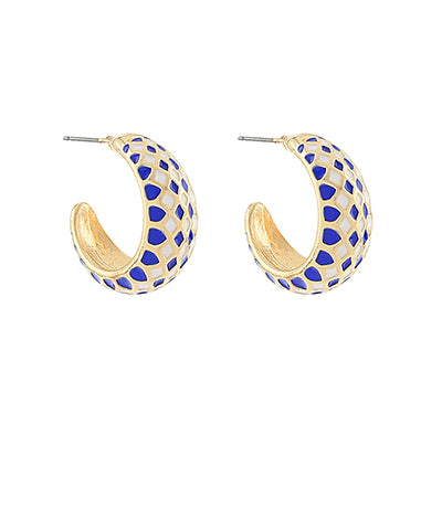 Checkered Past Earrings-2 Colors!