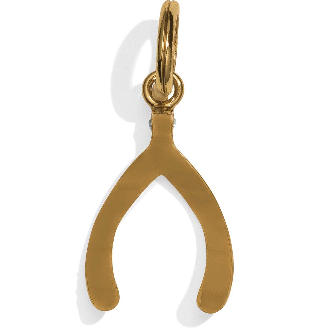 Brighton | Wishbone Amulet
