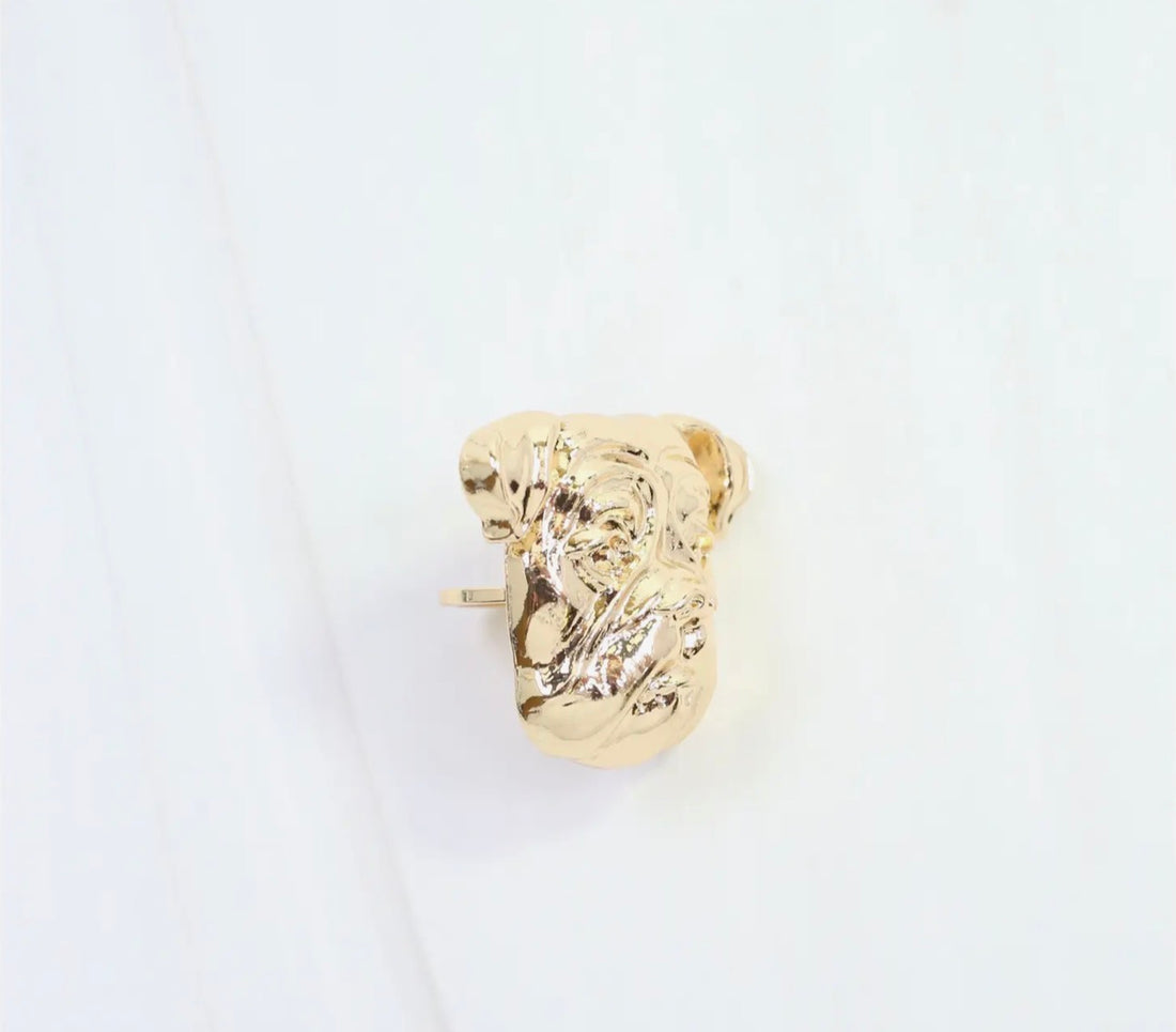 Caroline Hill | Sally Scarf Slide-Dog