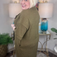 Not Kidding Curvy Dress-3 Colors!
