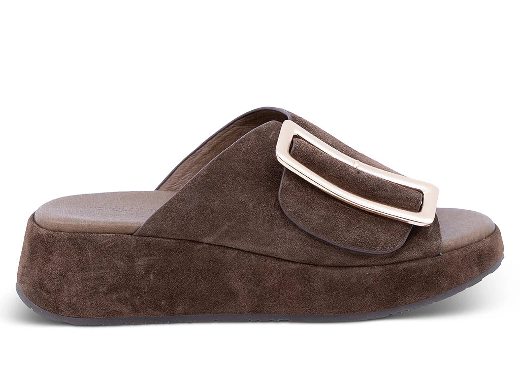 Elara dark brown suede slide sandal with crossover strap and rectangular buckle