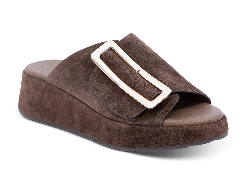 Elara dark brown suede slide sandal with crossover strap and rectangular buckle