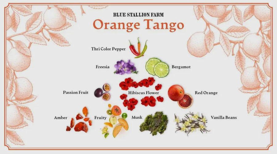 Orange Tango Bar Soap