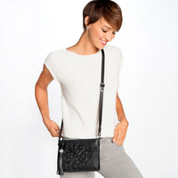 Brighton | Ferrara City Organizer