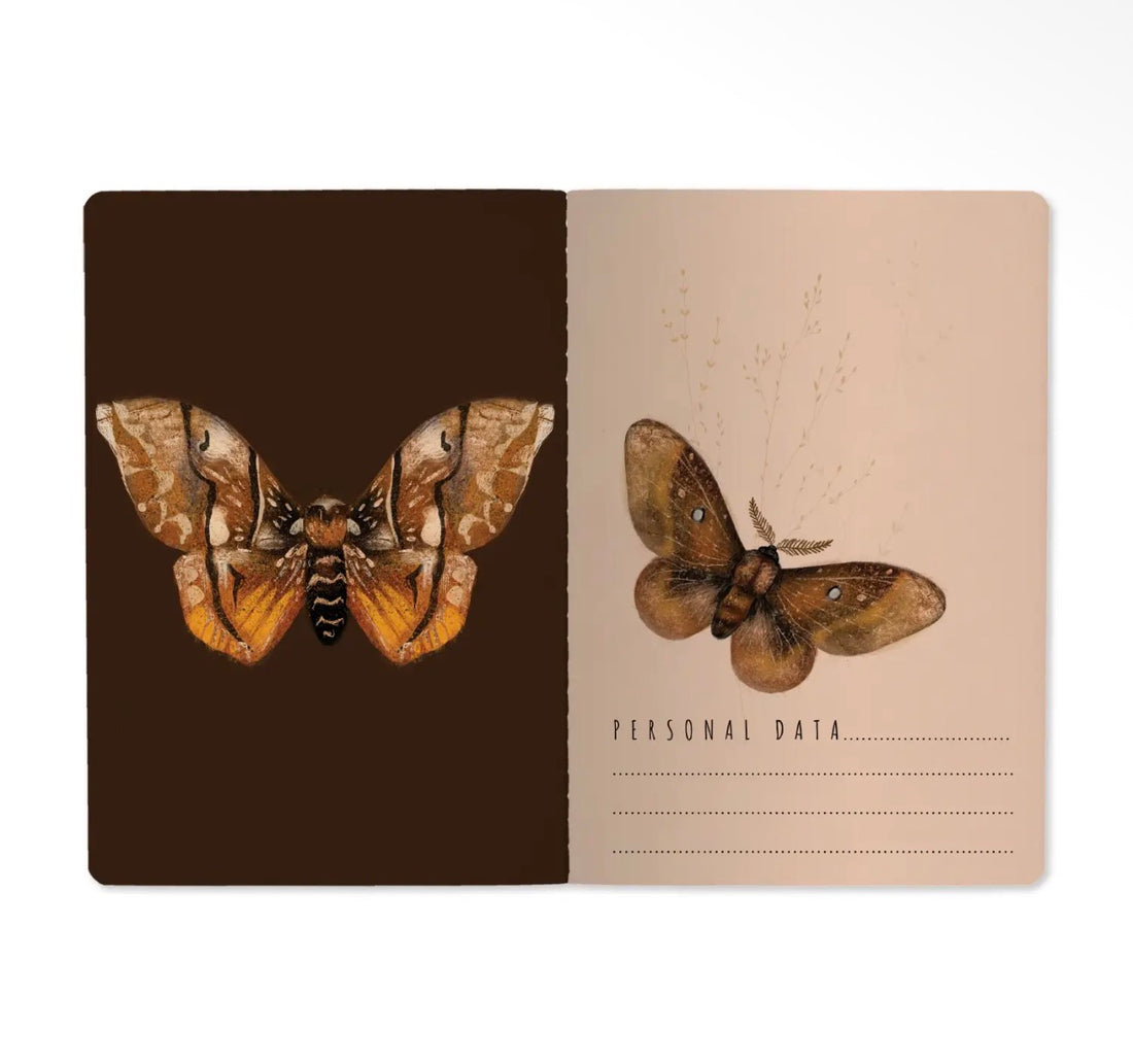 Notebook-Butterflies on Blush