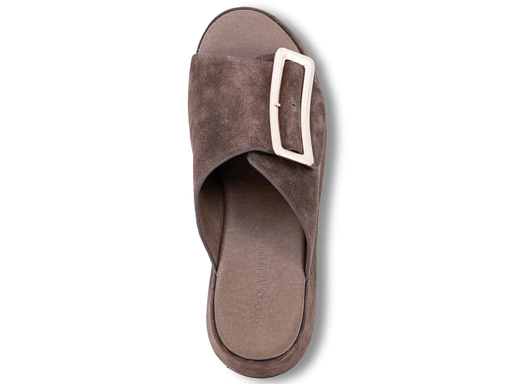 Elara dark brown suede slide sandal with crossover strap and rectangular buckle