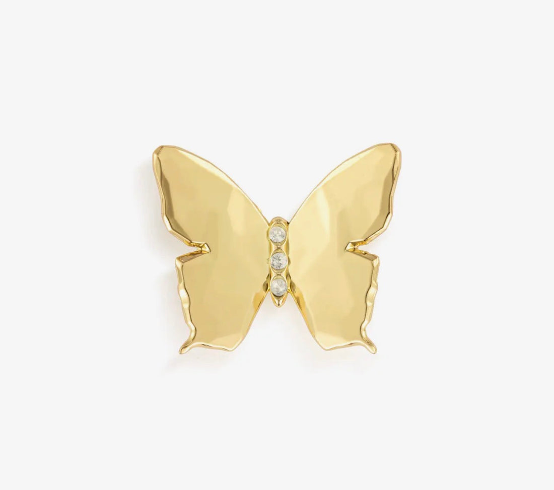 Butterfly Magnetic Frame Charm