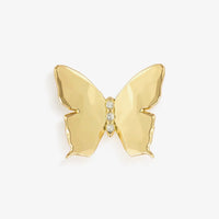 Butterfly Magnetic Frame Charm