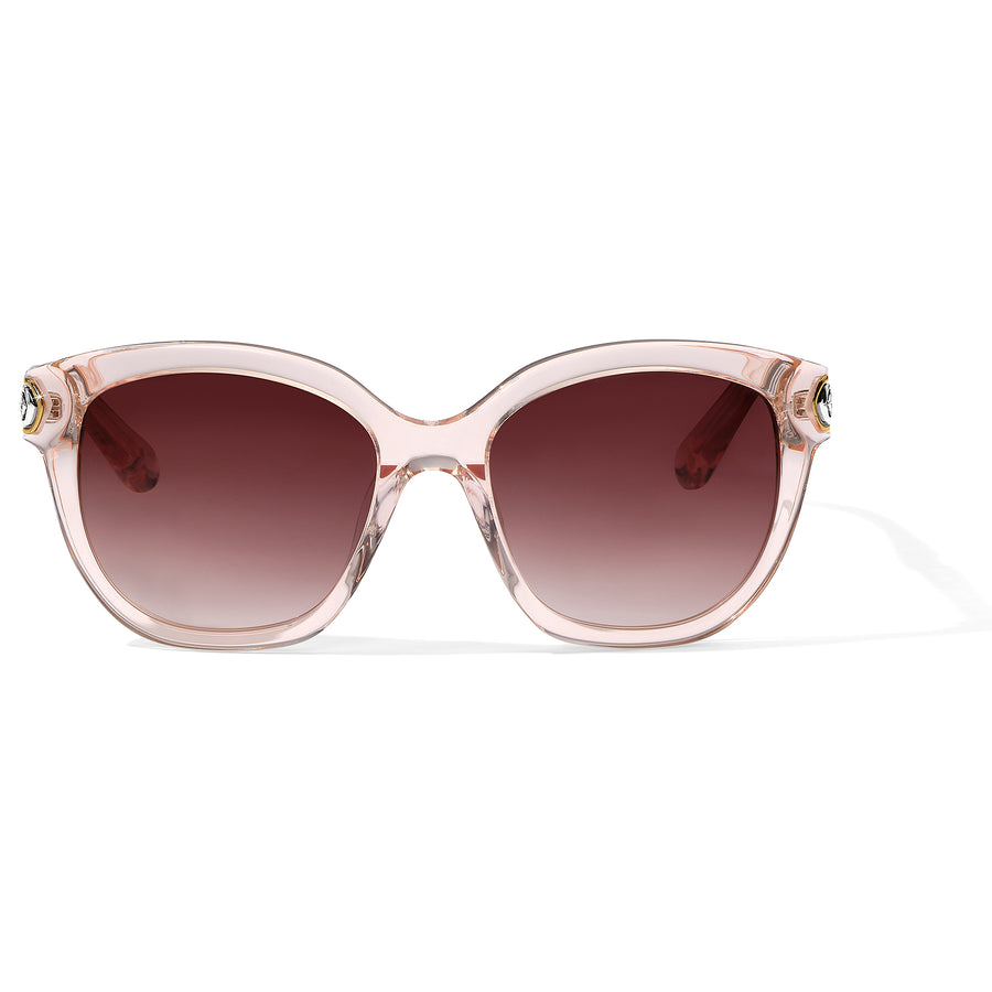 Brighton | Intrigue Rosewater Sunglasses