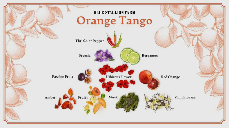 Orange Tango Whipped Body Cream