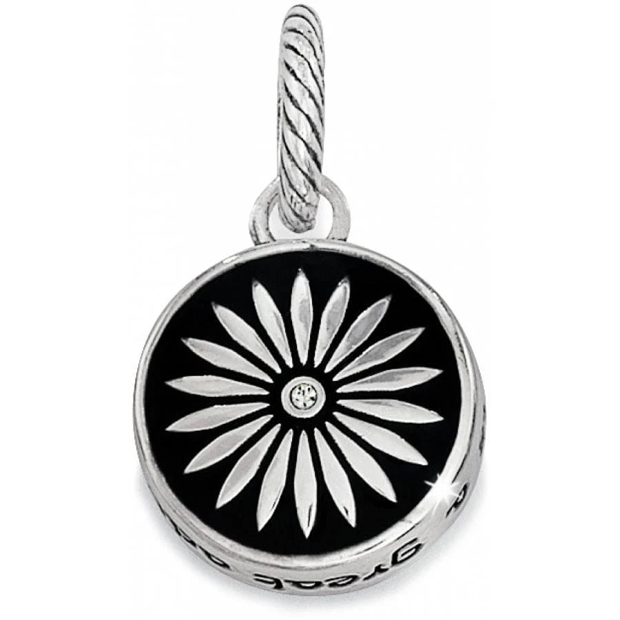 Brighton | Voyage Adventure Charm