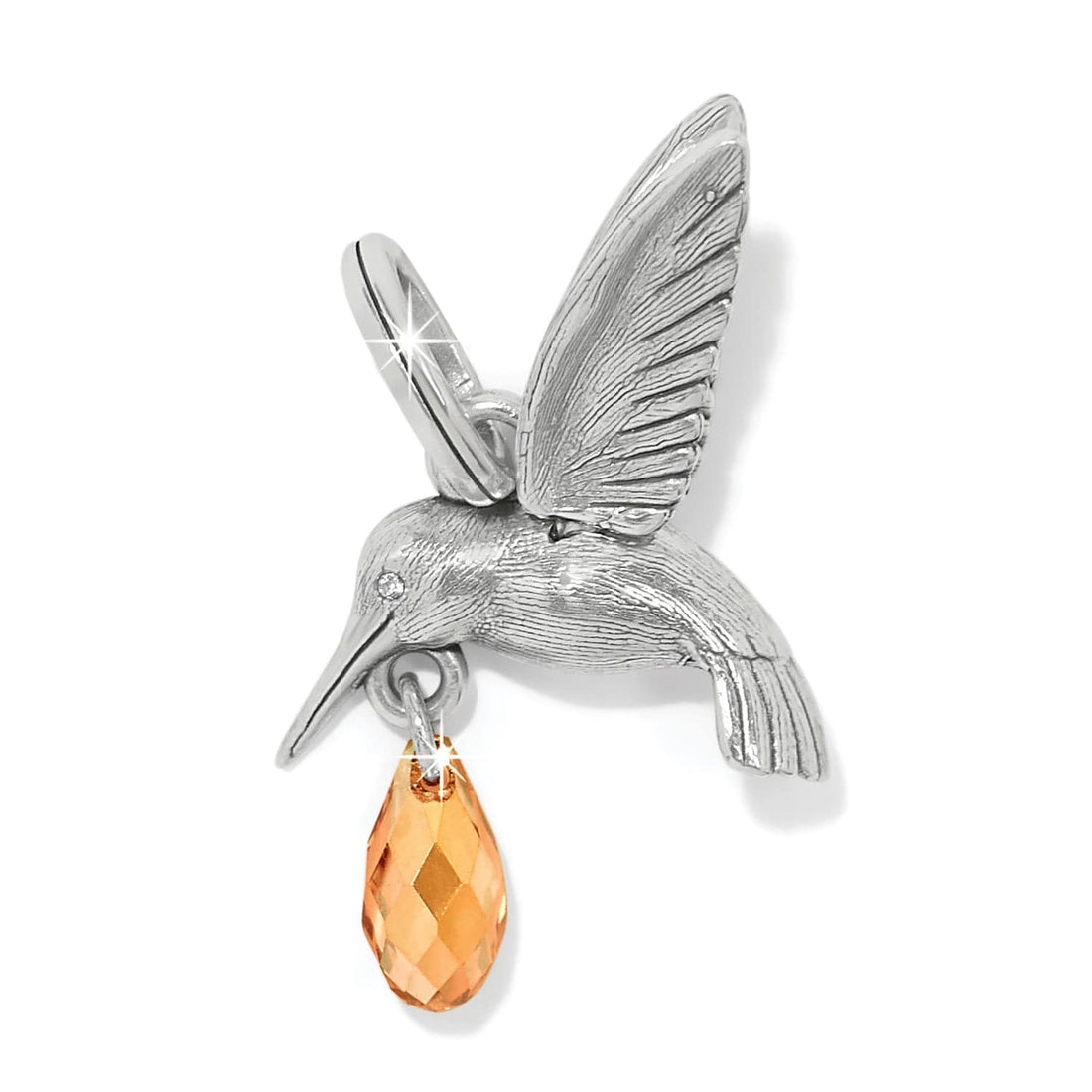 Brighton | Hummingbird Charm