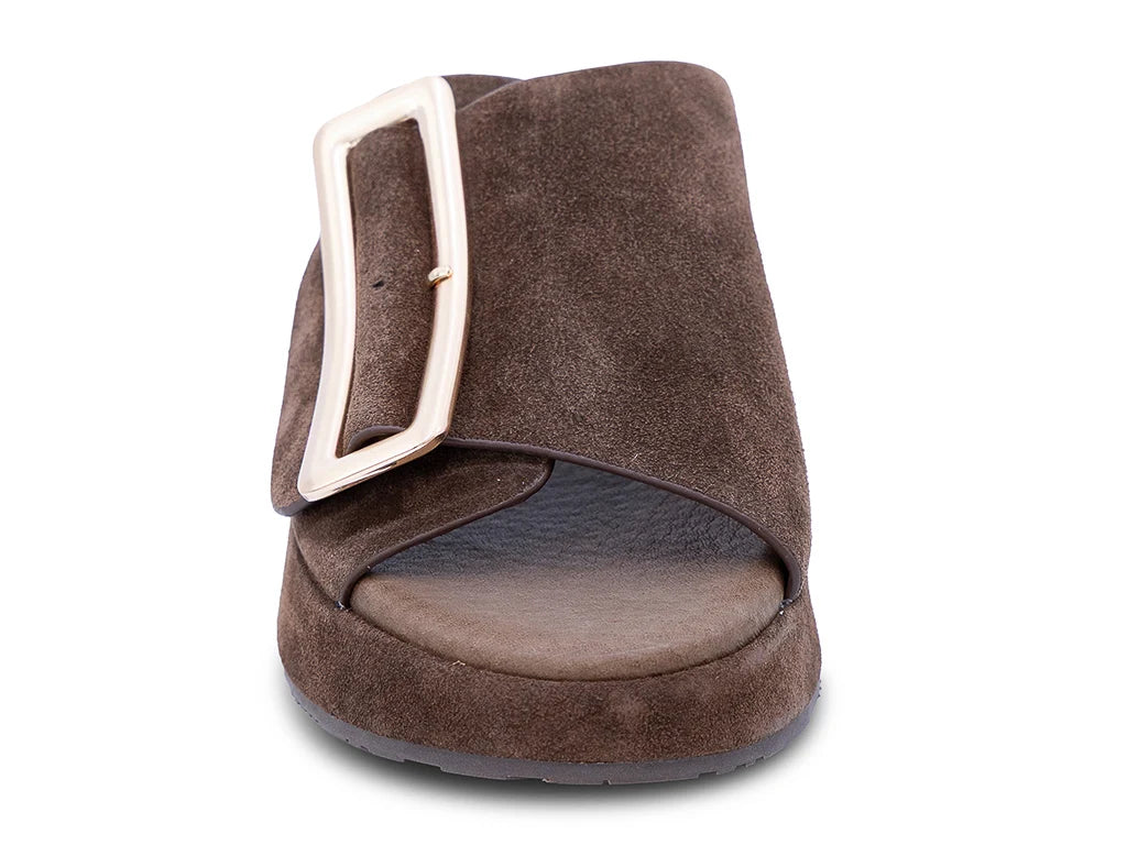 Elara dark brown suede slide sandal with crossover strap and rectangular buckle