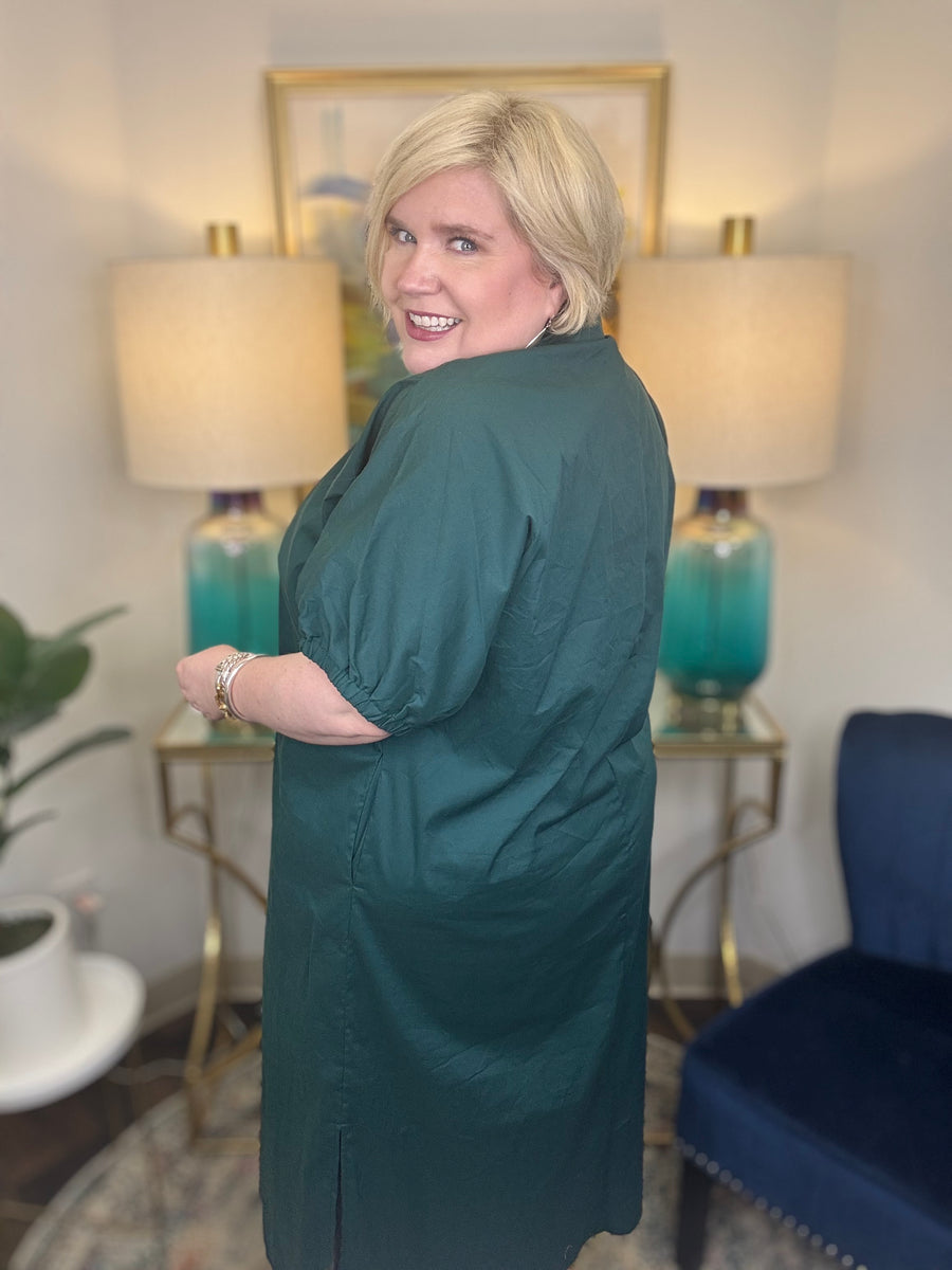Look Twice Curvy Dress