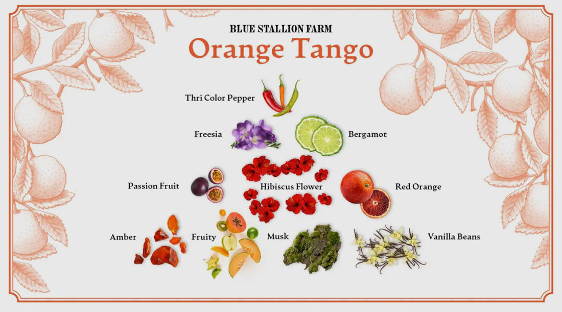 Orange Tango Hand Cream