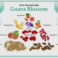 Guava Blossom Hand Cream