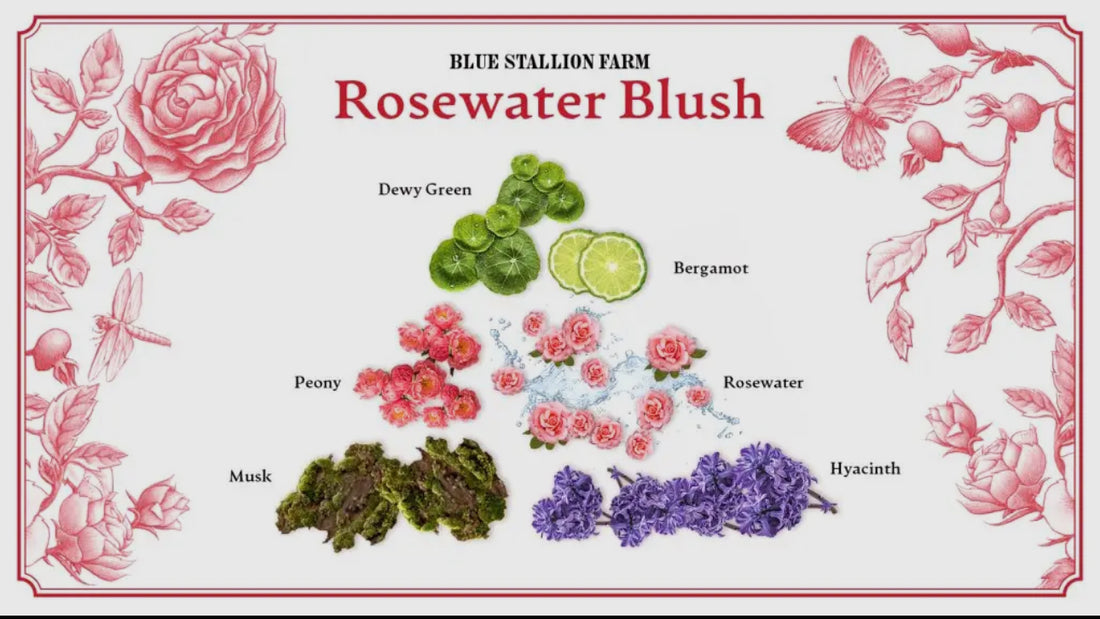 Rosewater Blush Whipped Body Cream