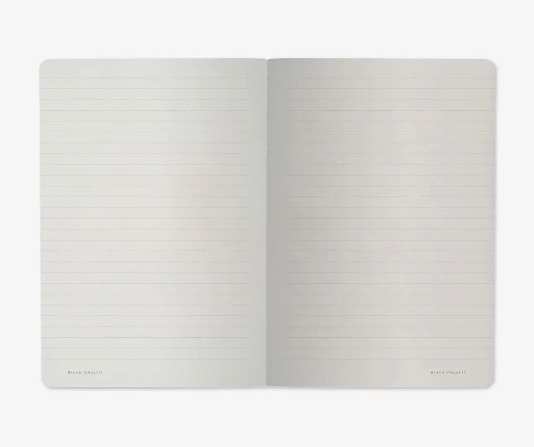 Notebook-Butterflies on White