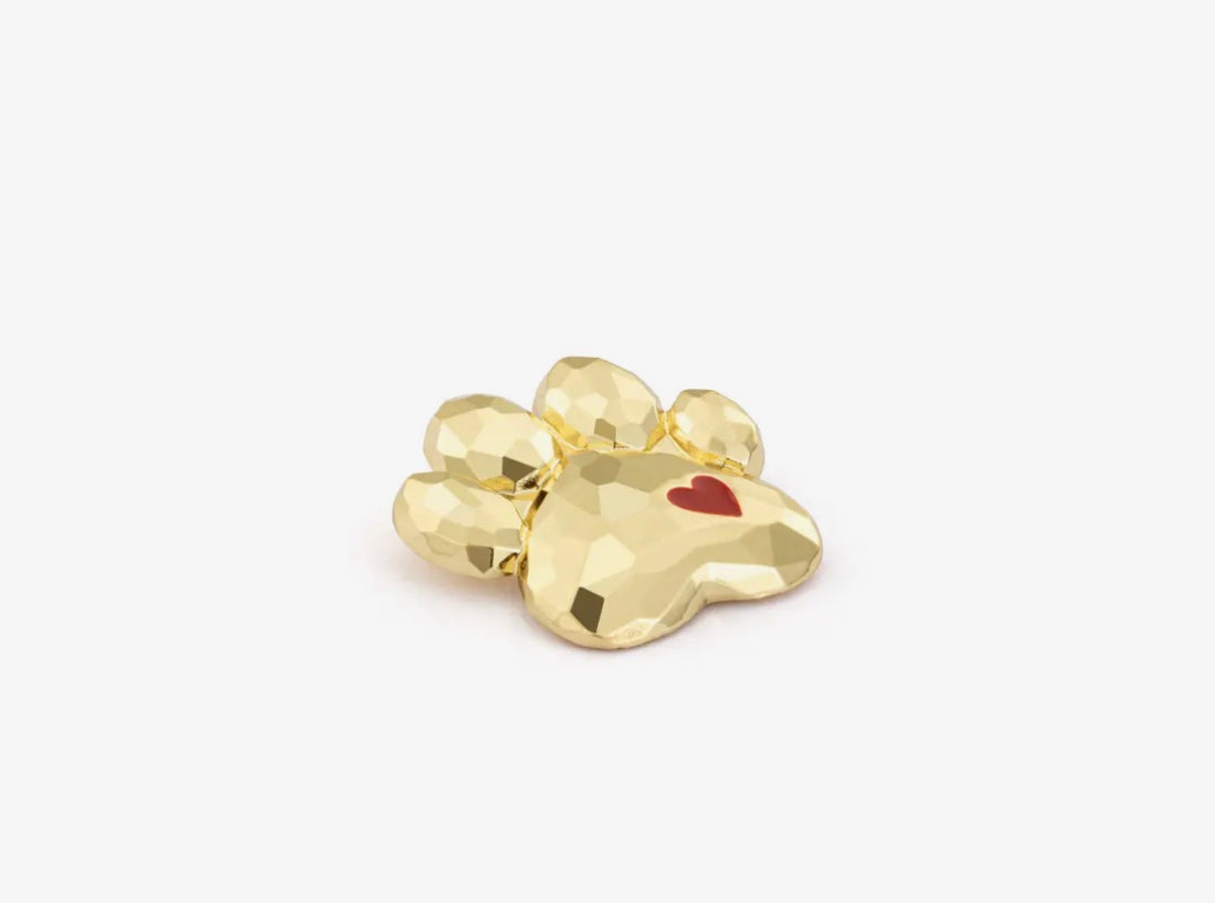 Paw Print Magnetic Frame Charm