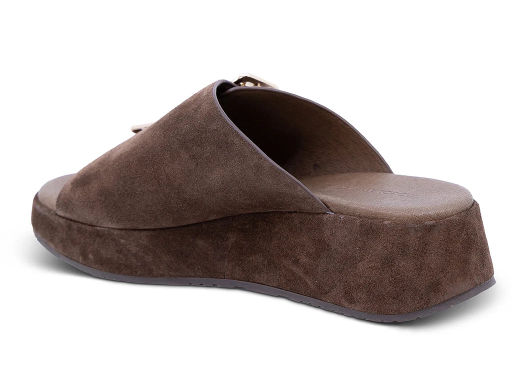Elara dark brown suede slide sandal with crossover strap and rectangular buckle