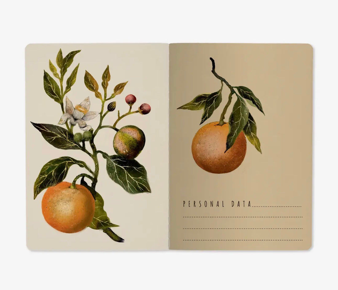 Notebook-Oranges and Blossoms
